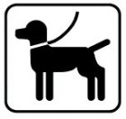 Icon Hunde erlaubt